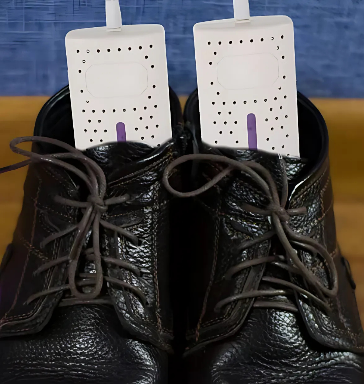 Secadora de zapatos eléctricos + Crema limpiadora de zapatos 120g